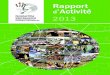 Rapport AIVE 2013