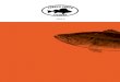 FRENCH TOUCH FISHING - Catalogo 2012 Francia