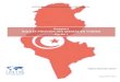 Rapport : rôle et pouvoir des médias en Tunisie