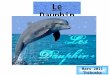 le dauphin par Thibusha