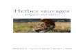 Herbes Sauvages - Fragments d'un Univers