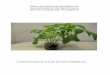 E-book les conditions de développement d'un végétal