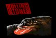 Rolling Stones Anniversary