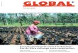 GLOBAL+ No. 48 | Eté 2013