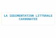 L5-LA SEDIMENTATION carbonatée LITTORALE