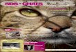 Journal Sos-chats été 2012