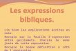 Expressions bibliques