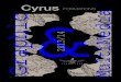 Cyrus formations 2013 -2014