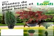 Baumschl- und Hechenpflanzen FR 13