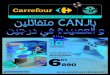 Carrefour catalogue mouled