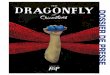 Dossier de presse - The Dragonfly of Chicoutimi
