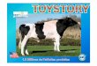Toystory - présentation photos