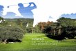 Porto et la Région Nord du Portugal - Le Top du Golf au Portugal