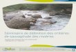 seminaire "Critères de sauvagitude des rivières"
