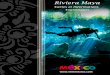 Guide Touristique de la Riviera Maya