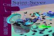 Guide pratique St Sever Cap de Gascogne