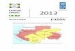 UNDP ART Gabon 2013 Rapport Annuel