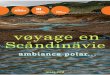 Voyage en Scandinavie - Ambiance Polar