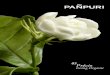 Pañpuri Précis 03 - Going Organic