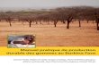Manuel pratique de production durable des gommes au Burkina Faso