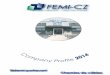 Femi-CZ Company Profile 2014 ita fra