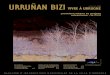 Urruñan Bizi - Bulletin Municipal Urrugne Hiver 2008/2009