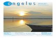 Angelus n° 43-44/2012