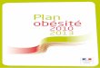 Plan ob©sit© 2010-2013