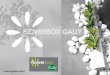 Catalogue Flowerbox Gally
