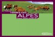 Brochure Terre des Alpes