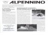 Alpennino 2008 n 1