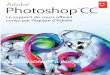 Adobe photoshop cc le support de cours officiel