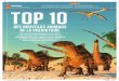 Top 10 des nouveaux animaux de la préhistoire
