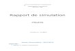 Rapport des simulations.docx