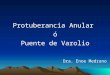 Protuberancia - Dra. Enoe Medrano
