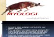 Anvet I - 05 Myologi.ppt