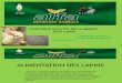 Controle qualité des aliments Alfa lapin.pdf