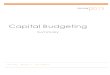 Capital Budg résumé.pdf