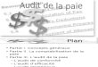 91185823 Audit de La Paie