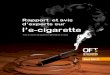 Rapport sur la cigarette électronique