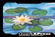 Quark Xpress 5