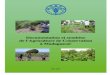 Documentation et synthèse de l'agriculture de conservation à Madagascar (FAO/2010)