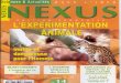 Nexus 14 - mai juin 2001 - Experimentation (complet)