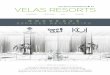 Newsletter #11 | Velas Resorts | FR