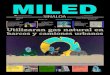 Miled Sinaloa 20 06 16