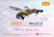 Bizz & buzz 2017 document de présentation version française