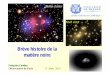 Brève histoire de la matière noire