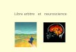 Libre arbitre et neuroscience