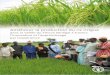 Améliorer la production du riz irrigué dans la Vallée du Fleuve 