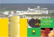 Terres OléoPro, filière française des huiles et protéines végétales 